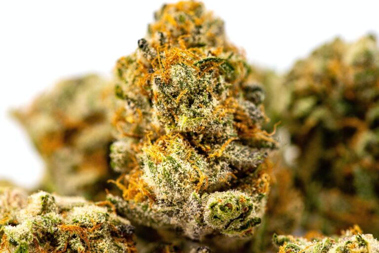Top Strains of Flower in Washington State